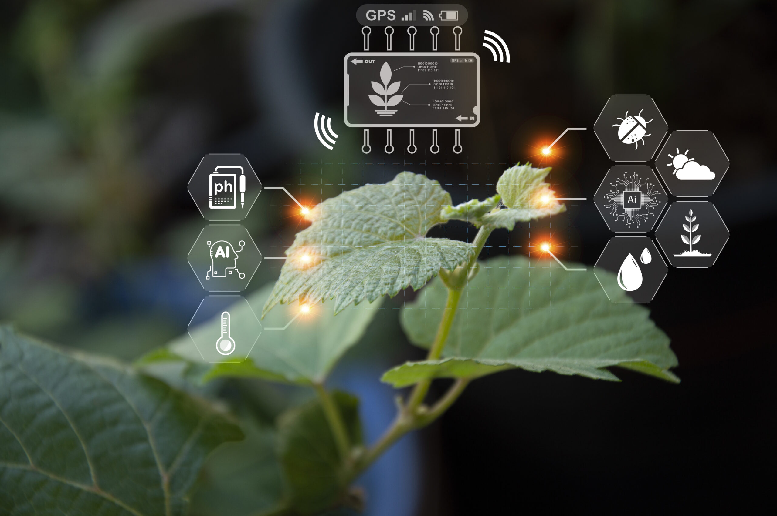 Inteligencia artificial en agricultura